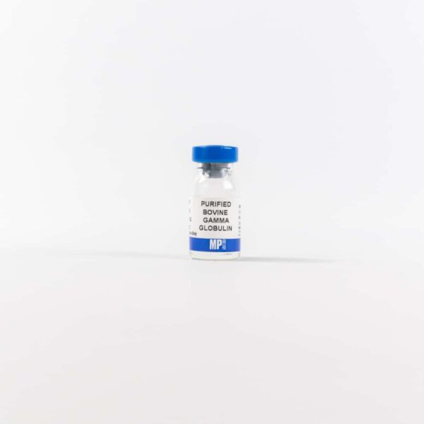 Purified Bovine Gamma Globulin