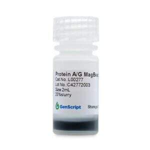 Protein A/G MagBeads