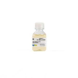 pZerve, no DMSO or serum