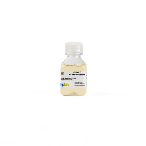 pZerve, no DMSO or serum