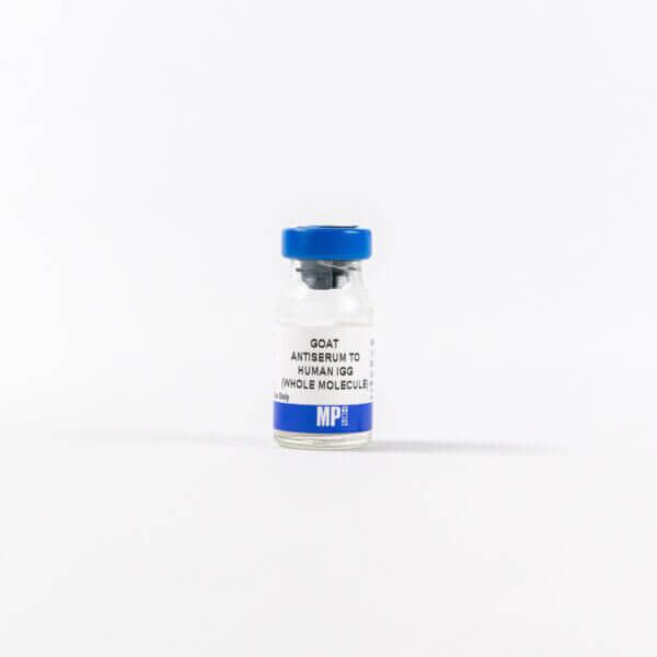 Goat Anti-Human IgG (whole molecule)