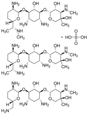 Gentamicin sulfate, 50 mg/mL