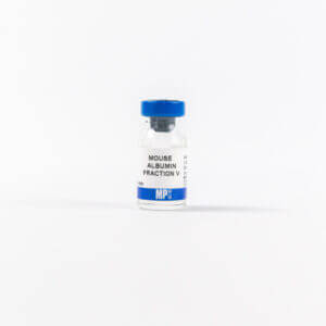 Albumin, mouse, Fraction V
