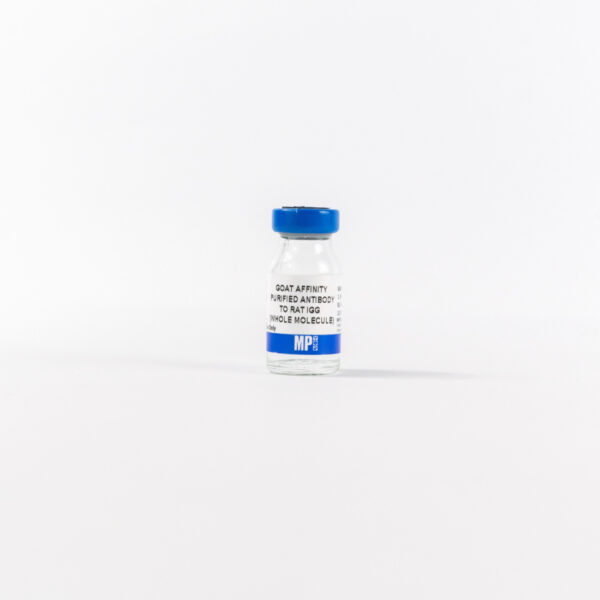 Affinity Purified Goat Anti-Rat IgG (H&L)