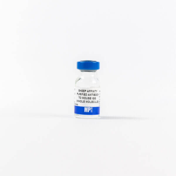 Anti-mouse IgG (whole molecule) affinity-purified sheep anti