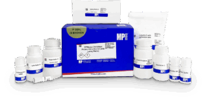 SPINeasy DNA/RNA/Protein All-in-One Kit