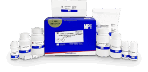 SPINeasy DNA/RNA/Protein All-in-One Kit