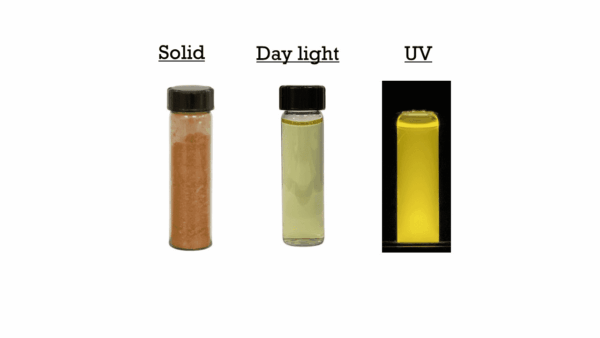 Yellow Carbon Dots, Powder