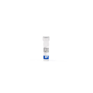 Anti-human IgG1 (Clone HP6069) mouse monoclonal antibody, HR