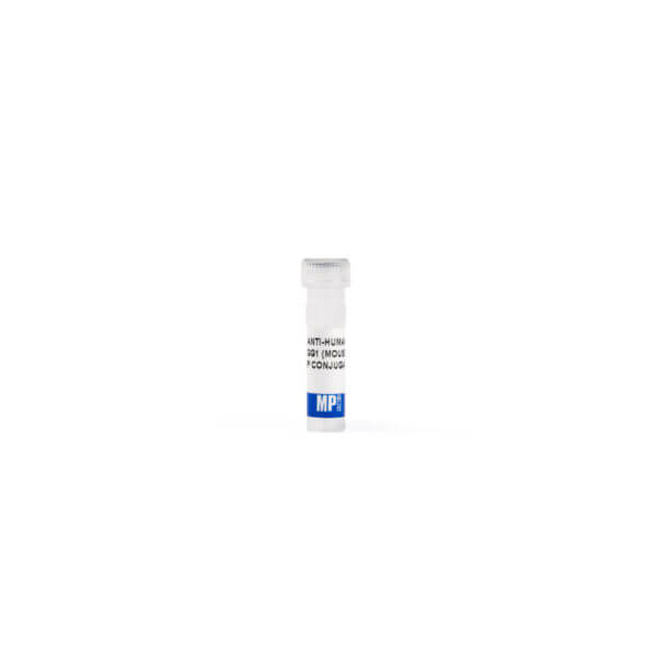 Anti-human IgG1 (Clone HP6069) mouse monoclonal antibody, HR