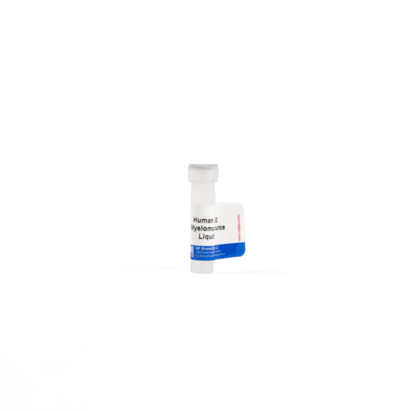 IgG2, human myeloma, purified