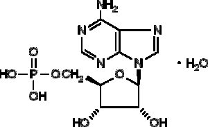 Adenosine-5'-monophosphate, monohydrate