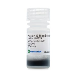 Protein G MagBeads