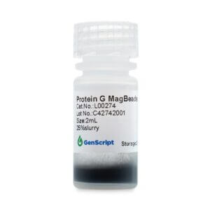 Protein G MagBeads