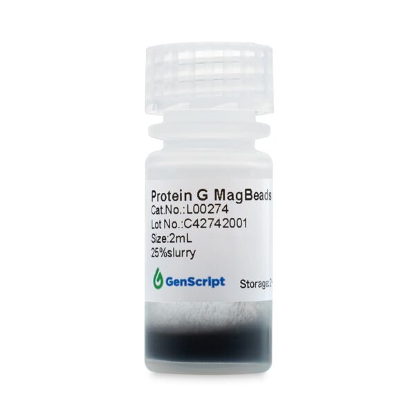 Protein G MagBeads