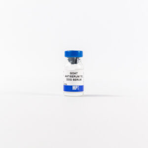 Goat Anti-Dog Serum