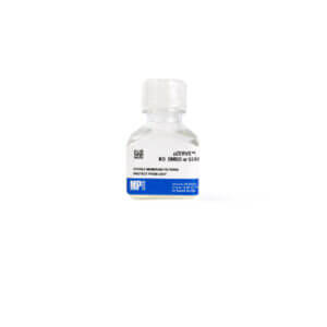 pZerve, no DMSO or serum