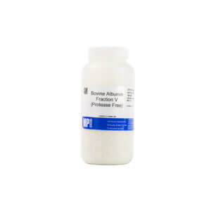 Bovine Albumin, Fraction V, Protease Free