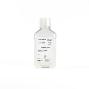 1X RPMI 1640 Medium w/o glutamine, phenol red