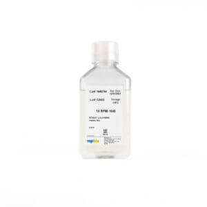 1X RPMI 1640 Medium w/o glutamine, phenol red