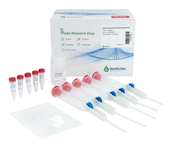 GST Fusion Protein Purification Kit
