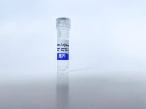 FastAb Adjuvant