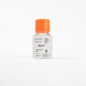 50X HT, hypoxanthine/thymidine solution