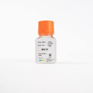 50X HT, hypoxanthine/thymidine solution