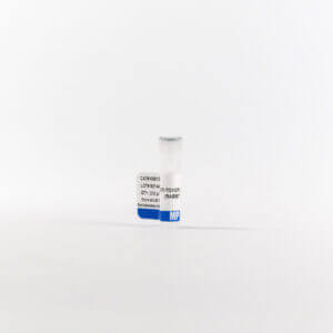 Anti-toxoplasma Gondii rabbit antibody