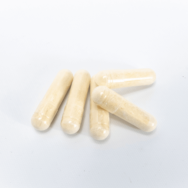 L-Broth Agar (large capsules)