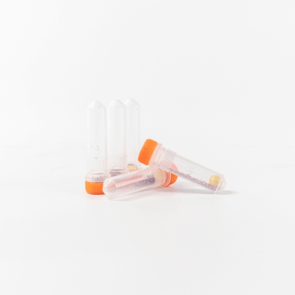Lysing Matrix A, 2 mL tube