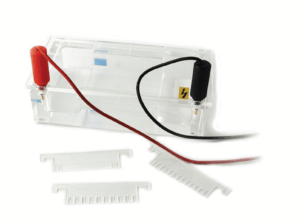 Electrophoresis cuve, 8 x 10 cm