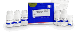 SPINeasy Plasmid Miniprep Kit