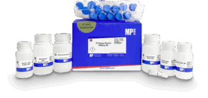 SPINeasy Plasmid Midiprep Kit