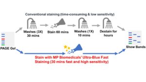 Ultra-Blue Fast PAGE Gel Staining Solution