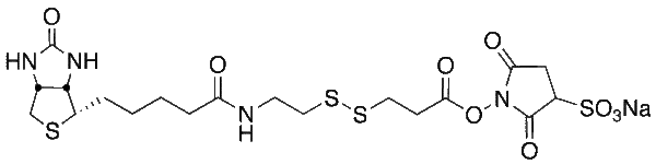 Sulfosuccinimidyl 3-[[2-(Biotinamido)ethyl] dithio]propionate Sodium Salt