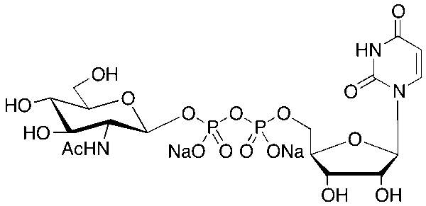 Uridine 5’-Diphospho-N-acetylglucosamine Disodium Salt
