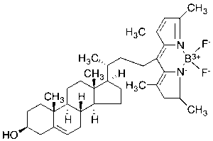 TopFluor Cholesterol