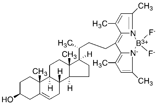 TopFluor Cholesterol