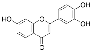 3',4',7- Trihydroxy Flavone
