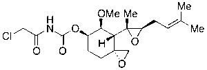 TNP-470