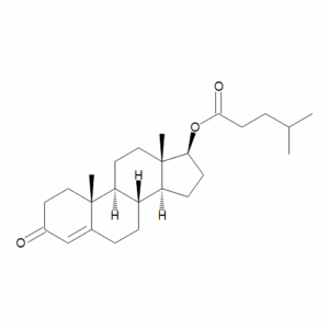 Testosterone 17-Isocaproate