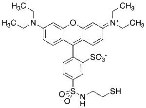 Sulfo Rhodamine Amidoethyl Mercaptan