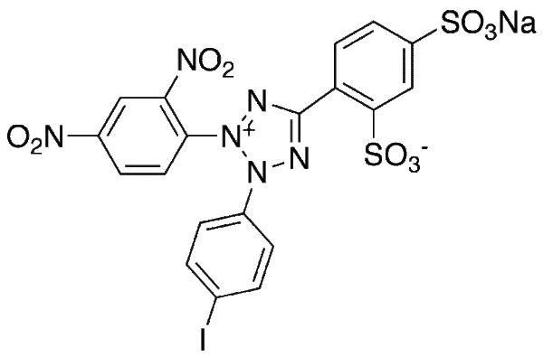WST-3