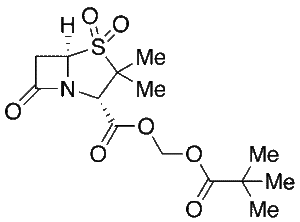 Sulbactam Pivoxil