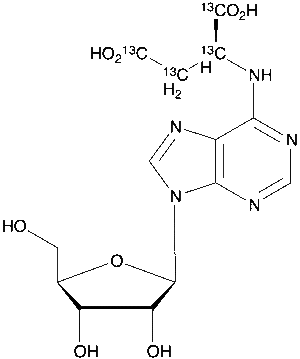 N6-Succinyl Adenosine-13C4