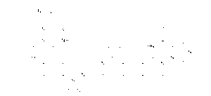Vardenafil Dimer