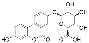 Urolithin A Glucuronide