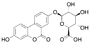 Urolithin A Glucuronide