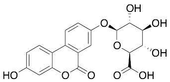 Urolithin A Glucuronide